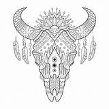 Colorare Vettore Cranio Mucca Colouring Skulls Schedel Koe Vectorillustratie sketch template