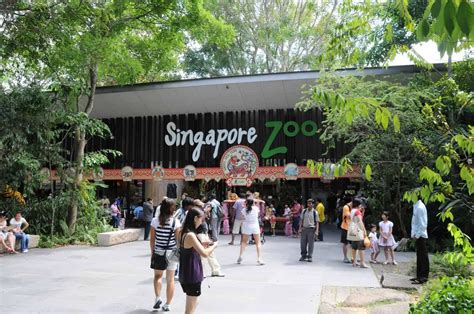 singapore zoo ticket price entrance fee opening hours map