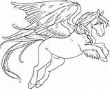 Pegasus Coloring Pages Adults Adult Printable Colouring Sad Kids Face Unicorn Getdrawings Sheets Library Clipart Popular Coloringhome sketch template