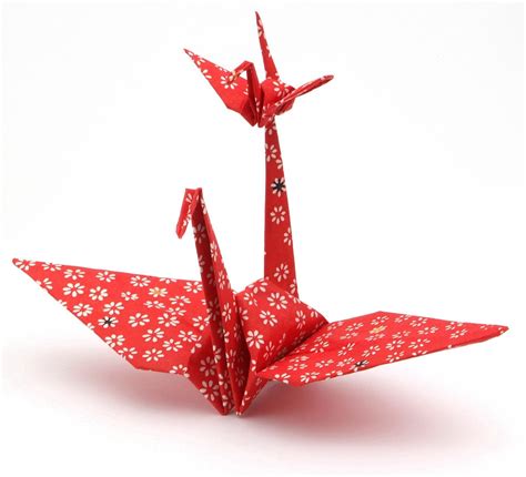 senbazuru thousand origami cranes gift box japonalia