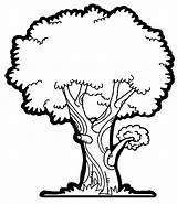 Tree Mango Colouring Drawing Pages Clipart Clipartbest sketch template