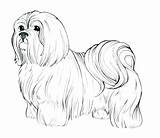 Realistic Coloring Pages Dog Dogs Getcolorings Printable Color Print sketch template