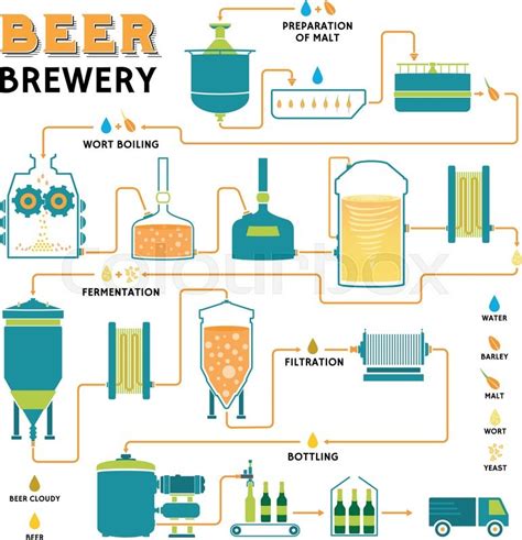 brewing beer production process  biology notes