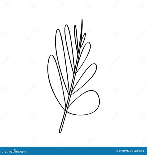 outline   palm leaf stock vector illustration  nature