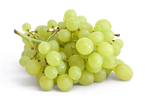 filetable grapes  whitejpg wikipedia
