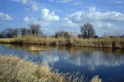 jock river fish habitat embayment creation project aquatic habitat canada