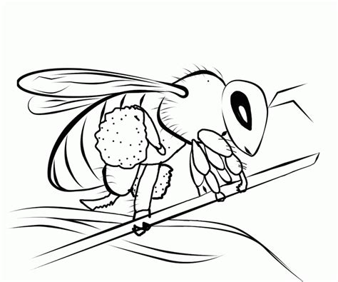 bee printable coloring home