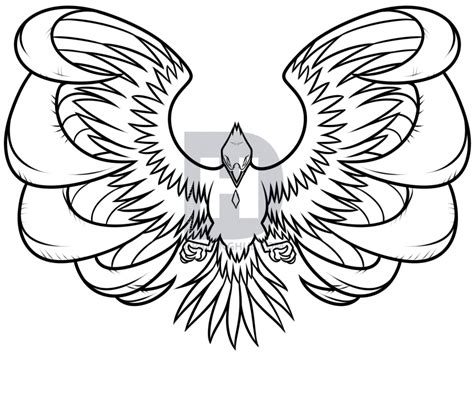 phoenix bird drawing    clipartmag