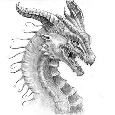 dragon drawings  paintingvalleycom explore collection