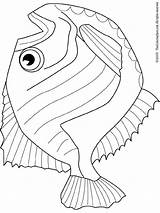 Hatchet Poisson Fische Coloriage Verschiedene Pesci Pesce Imprimer Malvorlage Kategorien sketch template