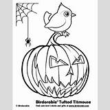 Titmouse Coloring Tufted sketch template