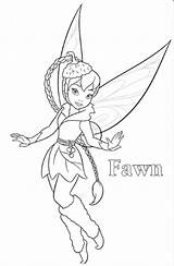 Tinkerbell Fawn Periwinkle Infantiles Hadas Afkomstig sketch template