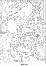 Coloring Color Number Haven Doverpublications Creative Publications Dover Cats Book Pages Books Welcome Toufexis George sketch template