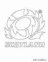 Rugby Scotland Pages Scottish Coloring Colouring Team Drawing Flag Getdrawings Getcolorings Printable Print Color Map Searches Recent sketch template