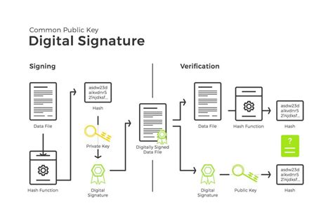 insight  hashing digital signature  blockchain