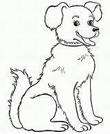 Gatos Dogs Puppy sketch template