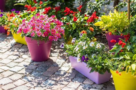 quick guide  garden pots planters  containers
