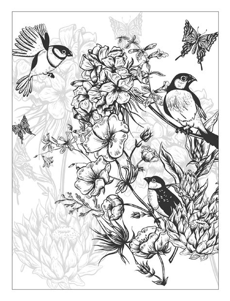 pin  coloring book adult coloring pages