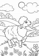 Meadow Sheep Animals Coloring Pages раскраски все из категории sketch template