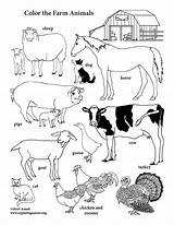 Farm Coloring Animals Pdf Vertical sketch template