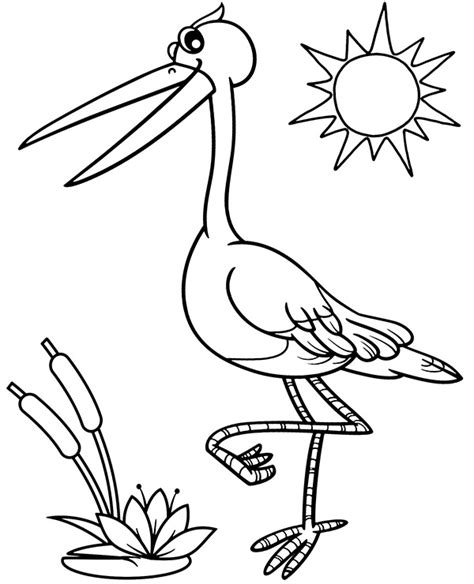 stork bird coloring page  kids topcoloringpagesnet