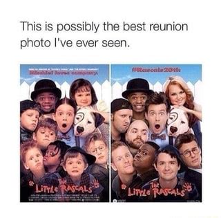 reunion memes  collection  funny reunion pictures  ifunny