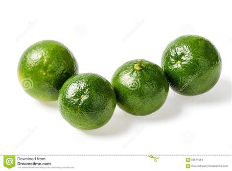 small green lime stock photo image