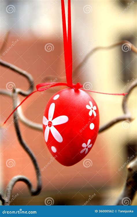 easter eggs hanging   tree stock photo image  garden colours