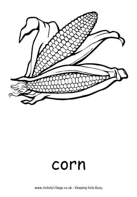 corn colouring page colouring pages coloring pages  kids