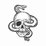 Skull Snake sketch template