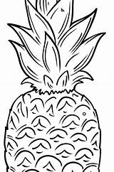 Ananas Ausmalen Ausmalbilder Pineapple sketch template