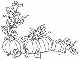 Calabazas Fulanitos Huerto Imagui Pinto sketch template