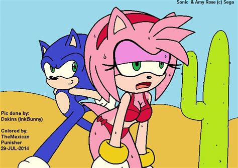sonic and amy rose by themexicanpunisher on deviantart