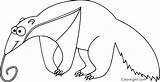 Anteater Printable Mammals Aardvark sketch template
