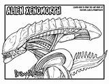 Xenomorph Alien Drawing Coloring Pages Movie Draw Easy Franchise Tutorial Drawings Getdrawings Getcolorings Paintingvalley Too Color sketch template