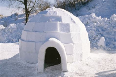 igloo craft zenith preparatory learning centre
