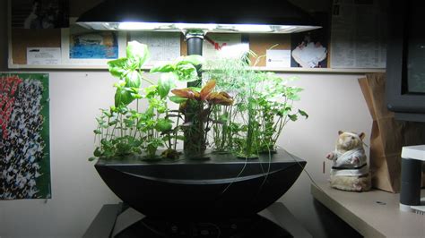 miracle gro aerogarden led grow herbs indoors