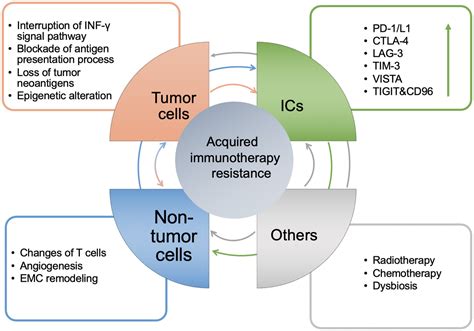 Acquired Resistance For Immune Checkpoint Inhibitors In Cancer