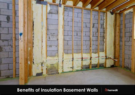 basement wall insulation   basement