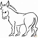 Donkey Coloring Pages Donkeys Printable Clipart Drawing Gif sketch template