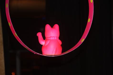 neon lucky cat by renata wurschmidt lucky cat neon cats objects