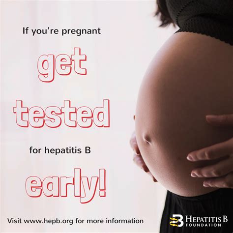 what to do about hepatitis b when you re pregnant hepatitis b foundation