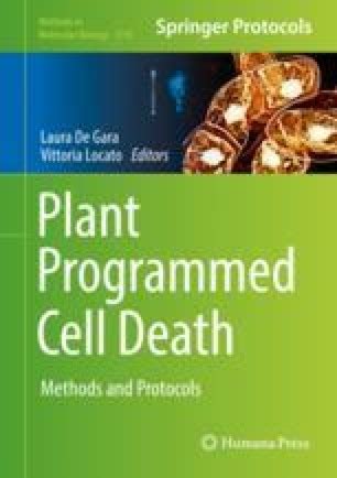 programmed cell death  plants  overview springerlink