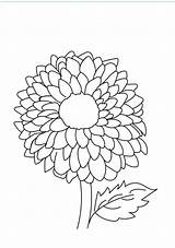 Coloring Pages Dahlia Flower Flowers Printable Beautiful Color Getcolorings Print sketch template