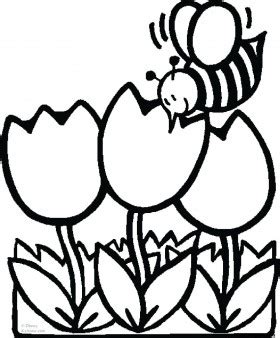 print  pictures coloring pages bee  tulips  kids coloring