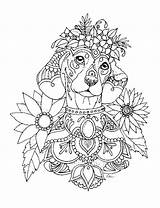 Pages Coloring Dachshund Colouring Adult Book Choose Board sketch template
