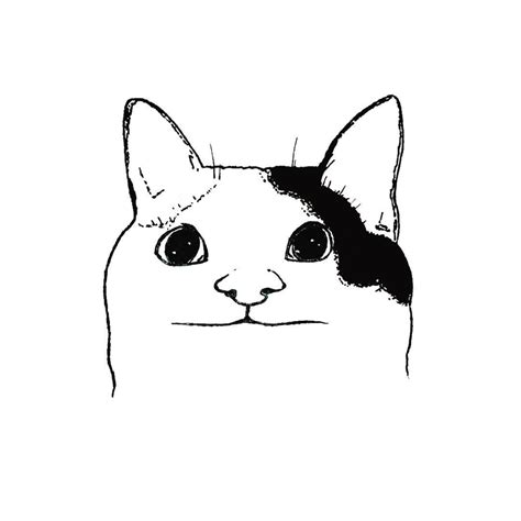 meme cat face drawing