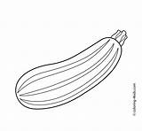 Coloring Zucchini Kids Pages Printable Vegetables Salvat Pe 4kids sketch template
