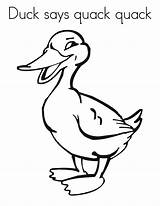 Duck Quack Coloring Pages Says Kids Clipart Printable Ducks Color Print Cliparts Click Quacking Ranked Holly Holm Bw Catapulted Rankings sketch template