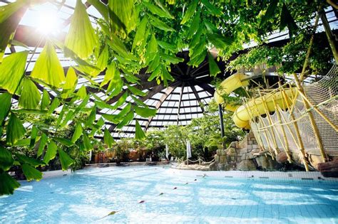 zwemmen bij centerparcs zwembaden vakanties hotels